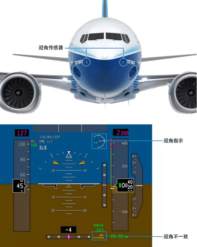 2024年11月17日 第19页