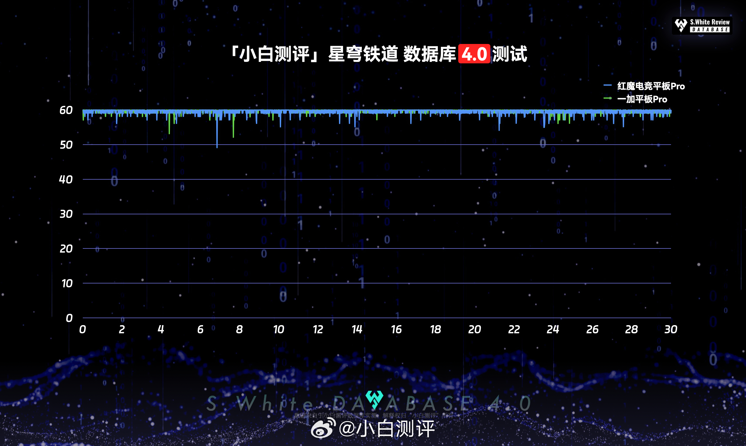 白小姐一肖一码100正确,数据驱动分析解析_进阶款81.207