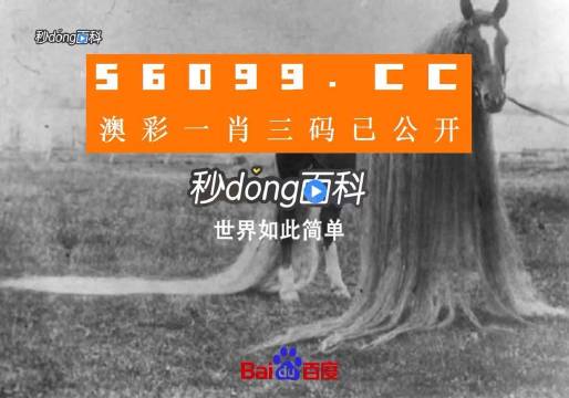 一肖一码一必中一肖,专业研究解释定义_eShop94.473