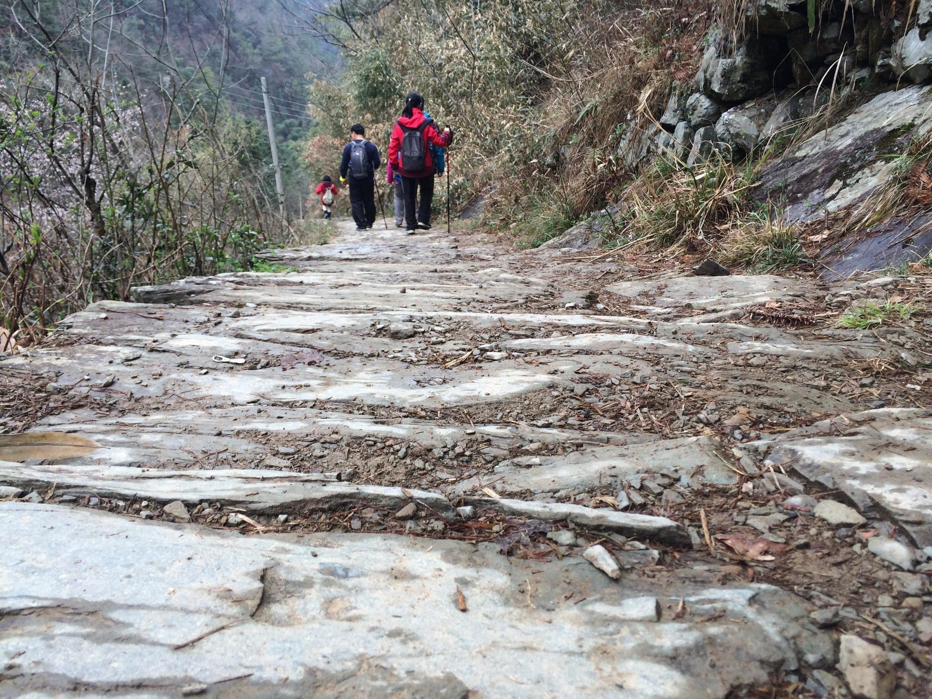 高天古道最新动态，历史与未来的交汇点揭秘