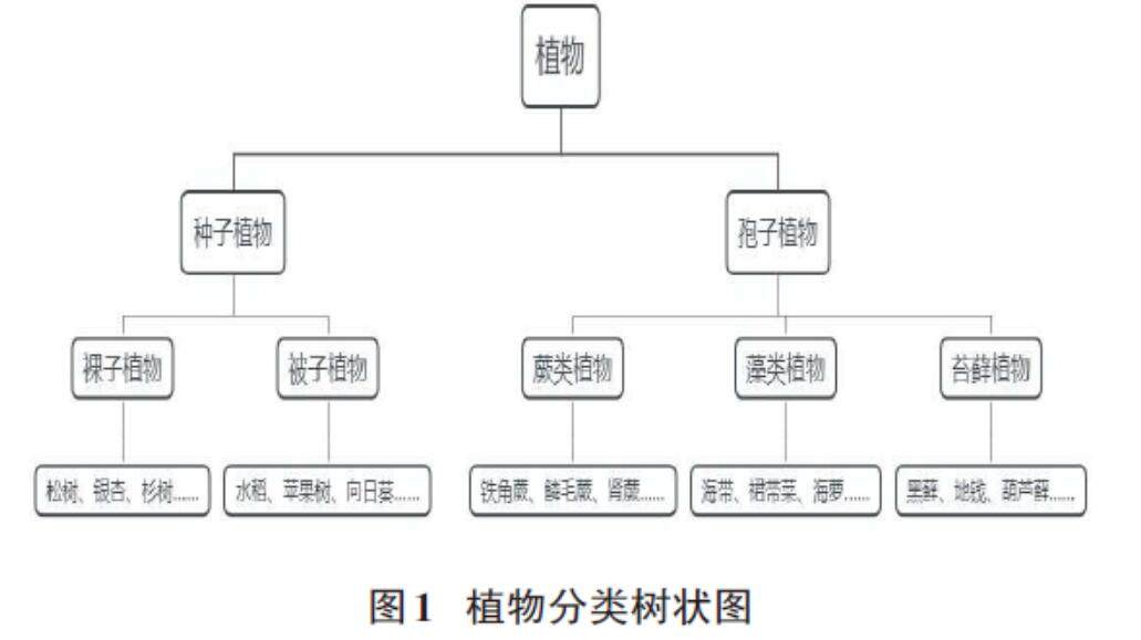 最准一肖100%中一奖,定量解答解释定义_XT98.754