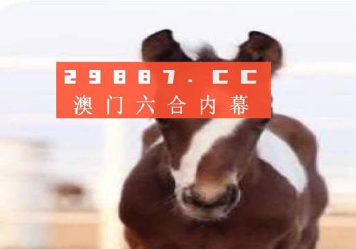 澳门一码一码100准确挂牌,权威解析说明_体验版86.901