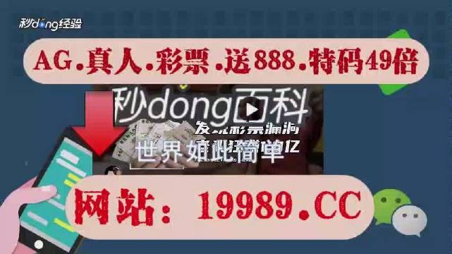 2024澳门六今晚开奖记录113期,数据资料解释定义_Prime32.142