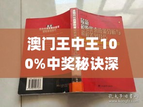 澳门王中王100%期期中一期,定性解读说明_DP62.333