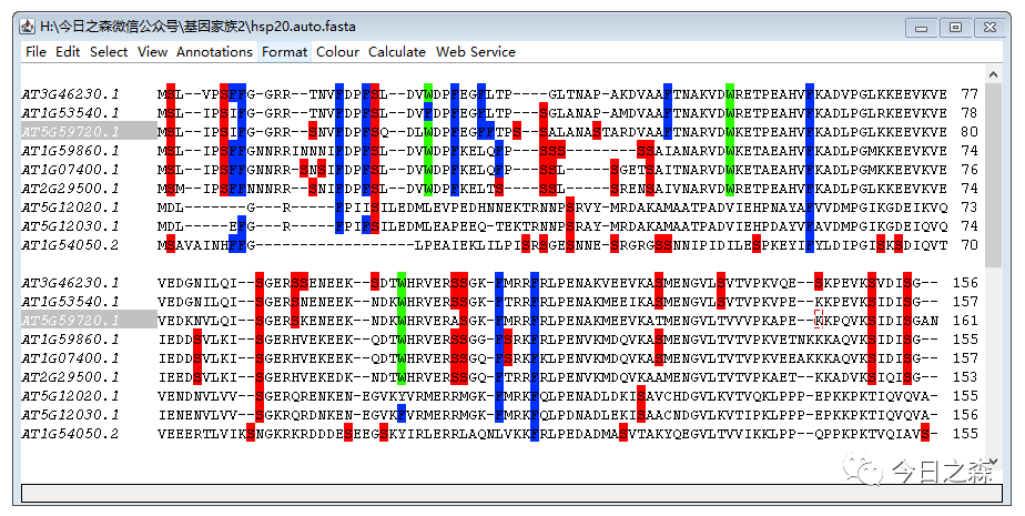 2024港澳图库彩图大全,最新研究解释定义_XE版76.79