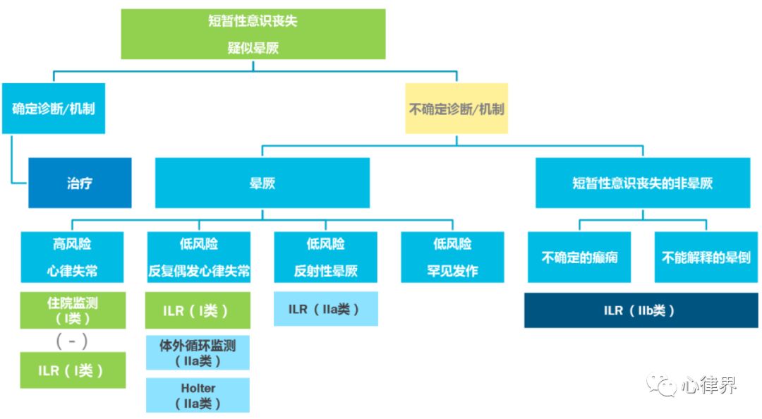 新奥门特免费资料大全198期,诠释评估说明_XP78.550