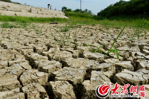 威海泊于水库最新动态全面解析