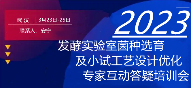 2023正版资料全年免费公开,互动策略解析_苹果62.370