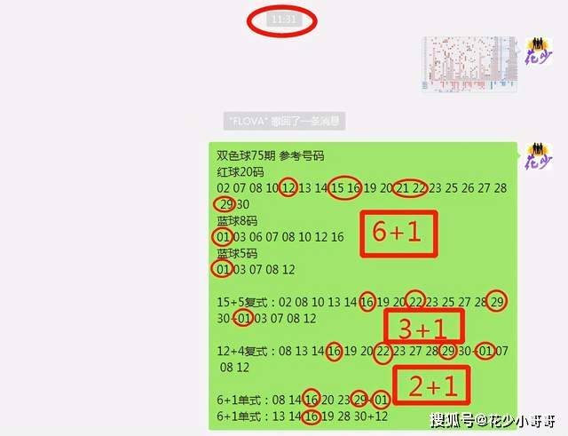 白小姐今晚特马期期准六,全面解析说明_Prime33.801