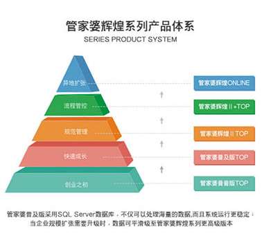 新澳门管家婆,数据导向执行解析_精简版63.19