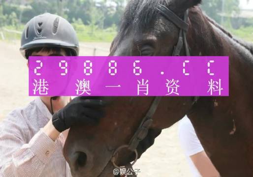 澳门今晚必中一肖一码准确9995,实地分析验证数据_3DM48.527