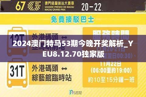 2024年今晚澳门特马,综合分析解释定义_LT31.342