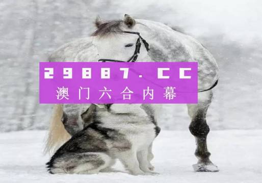 7777788888精准跑狗图特色,可靠设计策略解析_超级版92.792