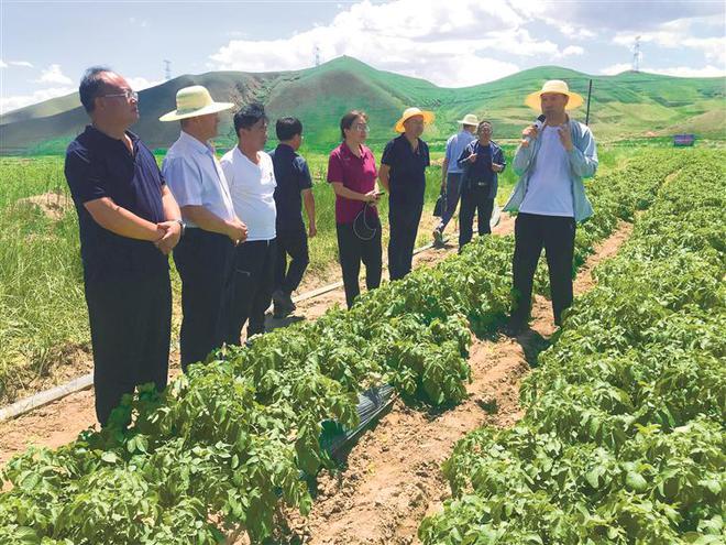 凤凰县农业农村局新项目推动农业现代化，乡村振兴再添动力