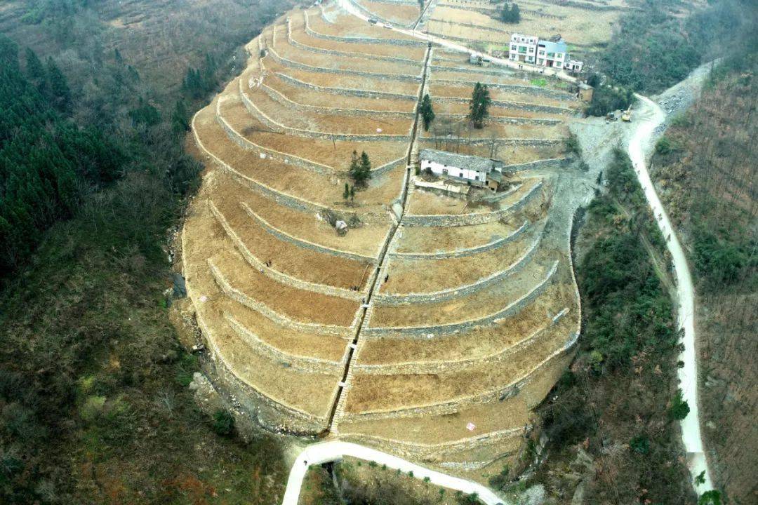 茅坪镇未来繁荣新蓝图，最新发展规划揭秘