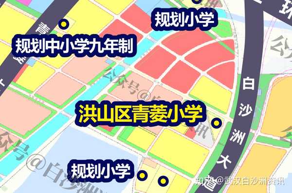 青山区小学发展规划概览，迈向未来的教育蓝图