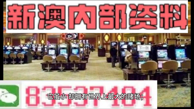 2024新澳门精准资料免费大全,功能性操作方案制定_精简版105.220