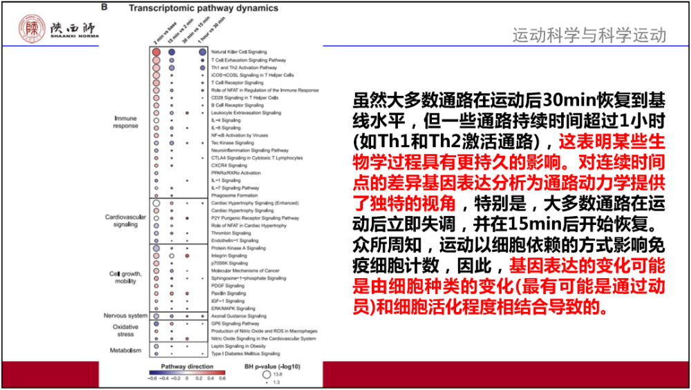 新澳好彩资料免费提供,专业分析解释定义_MT40.333