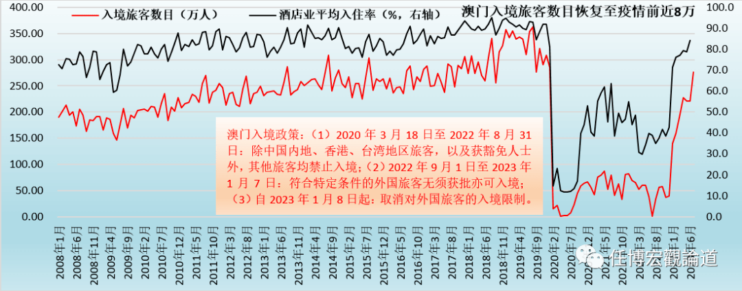 2024年12月16日 第31页