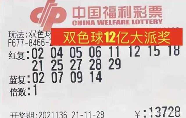 金多宝澳门彩资料的开奖大厅,前瞻性战略定义探讨_Plus93.449