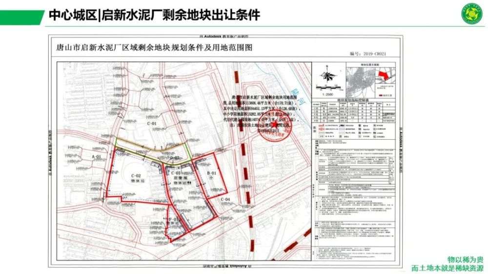 2024年12月24日 第19页