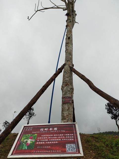 乐昌市自然资源和规划局新项目，推动城市可持续发展与生态保护并行发展