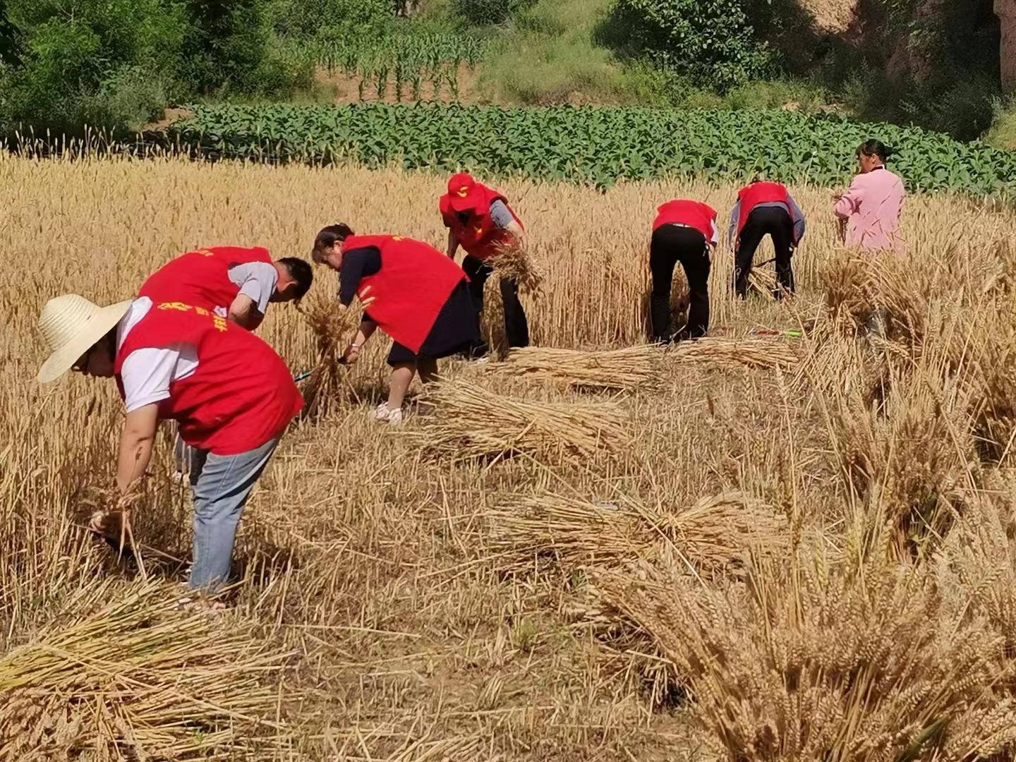 神泉镇新领导团队领航未来，铸就辉煌成就