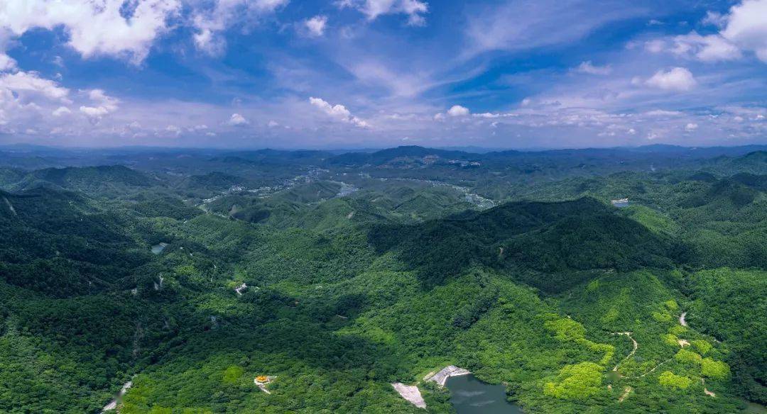 大沙河林场天气预报更新通知