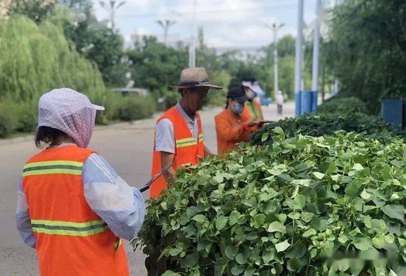 青龙山农场最新新闻速递