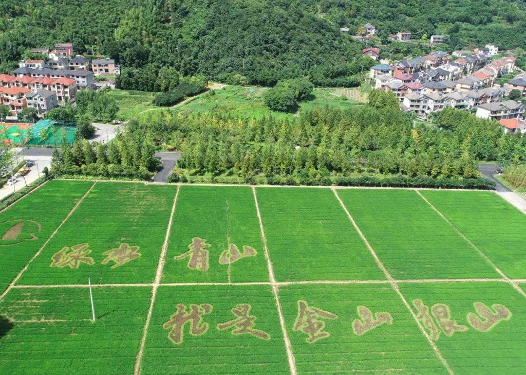 天荒坪镇交通升级助力地方繁荣发展最新消息