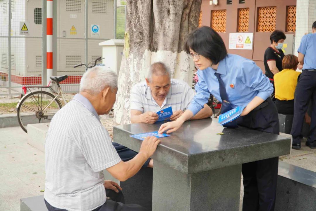 三区教育局最新发展规划概览