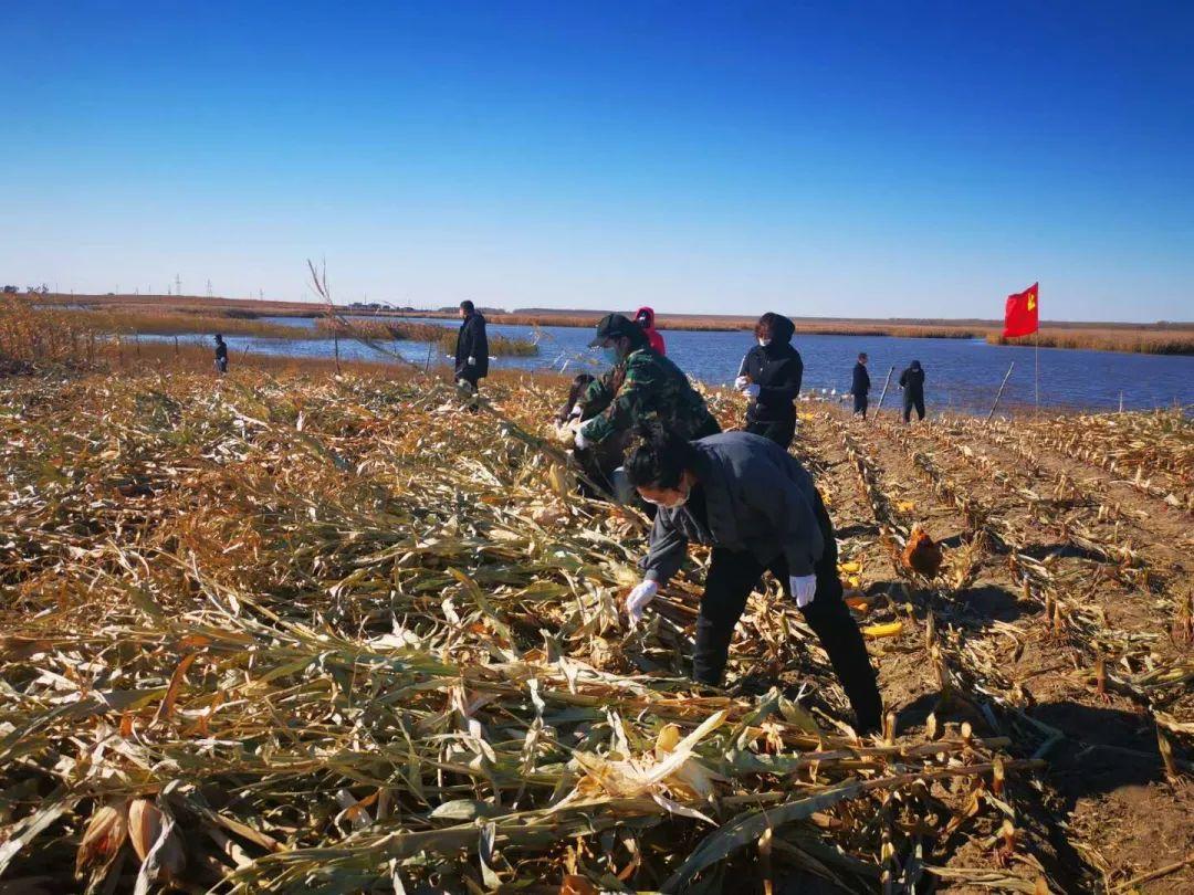 杜尔伯特蒙古族自治县教育局项目最新进展及其区域教育影响力分析