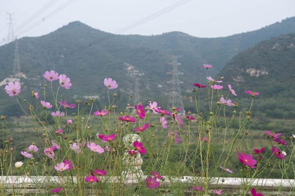 石店镇最新项目，地区发展的强大引擎驱动力