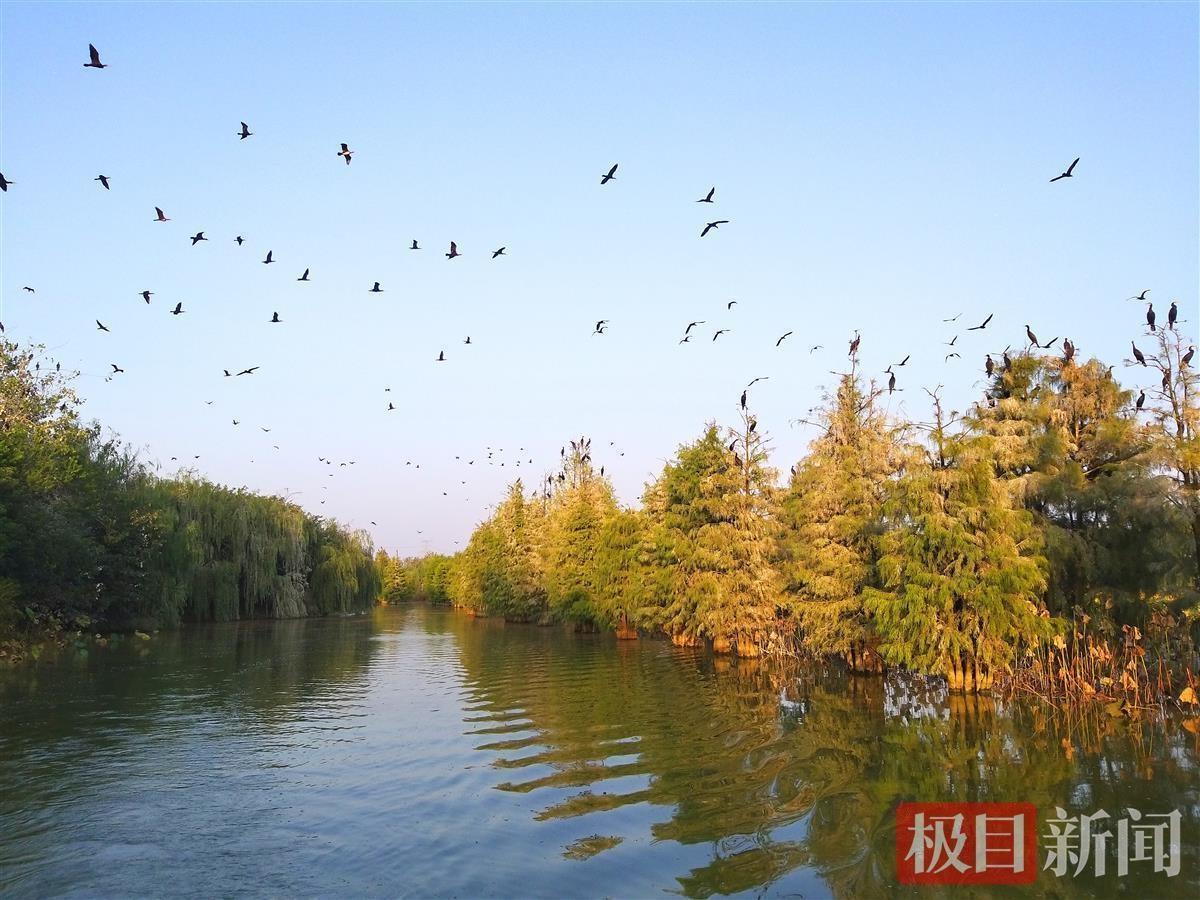 孝感市社会科学院最新项目研究，探索与发展之道