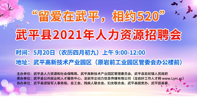 武平县人力资源和社会保障局未来发展规划概览